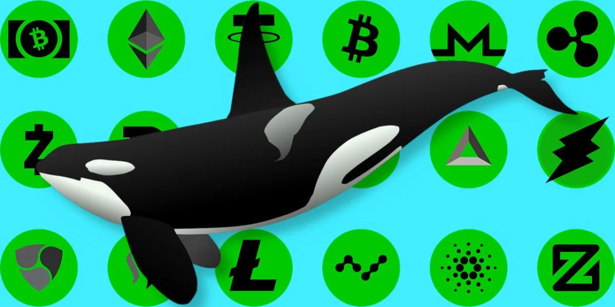 Whales Move $1B BTC from Coinbase: Bullish or Bearish?